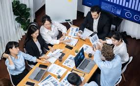 pedrovazpaulo operations consulting