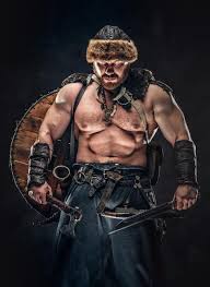 barbarian 210x330