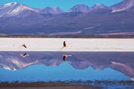 https://notipostingt.com/2022/04/13/4-lugares-que-debes-visitar-en-chile